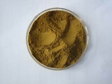 Sell Oliver leaf extract 